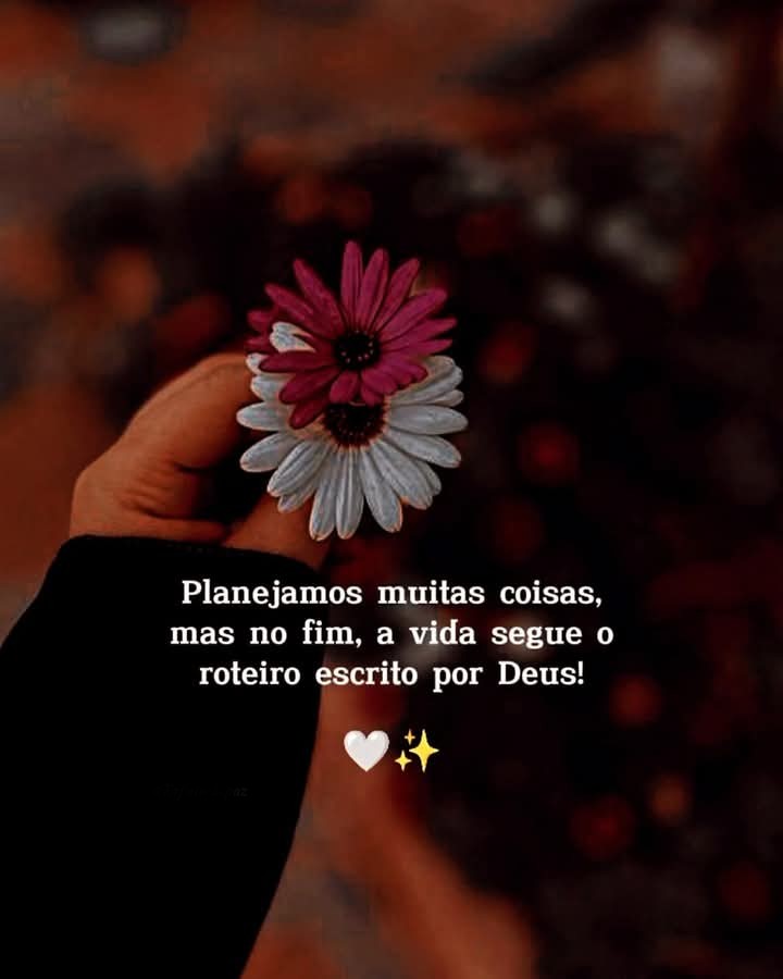 Boa Noite Patriotas!💚💛
Bom Descanso!✨🙌🙏🌼😴