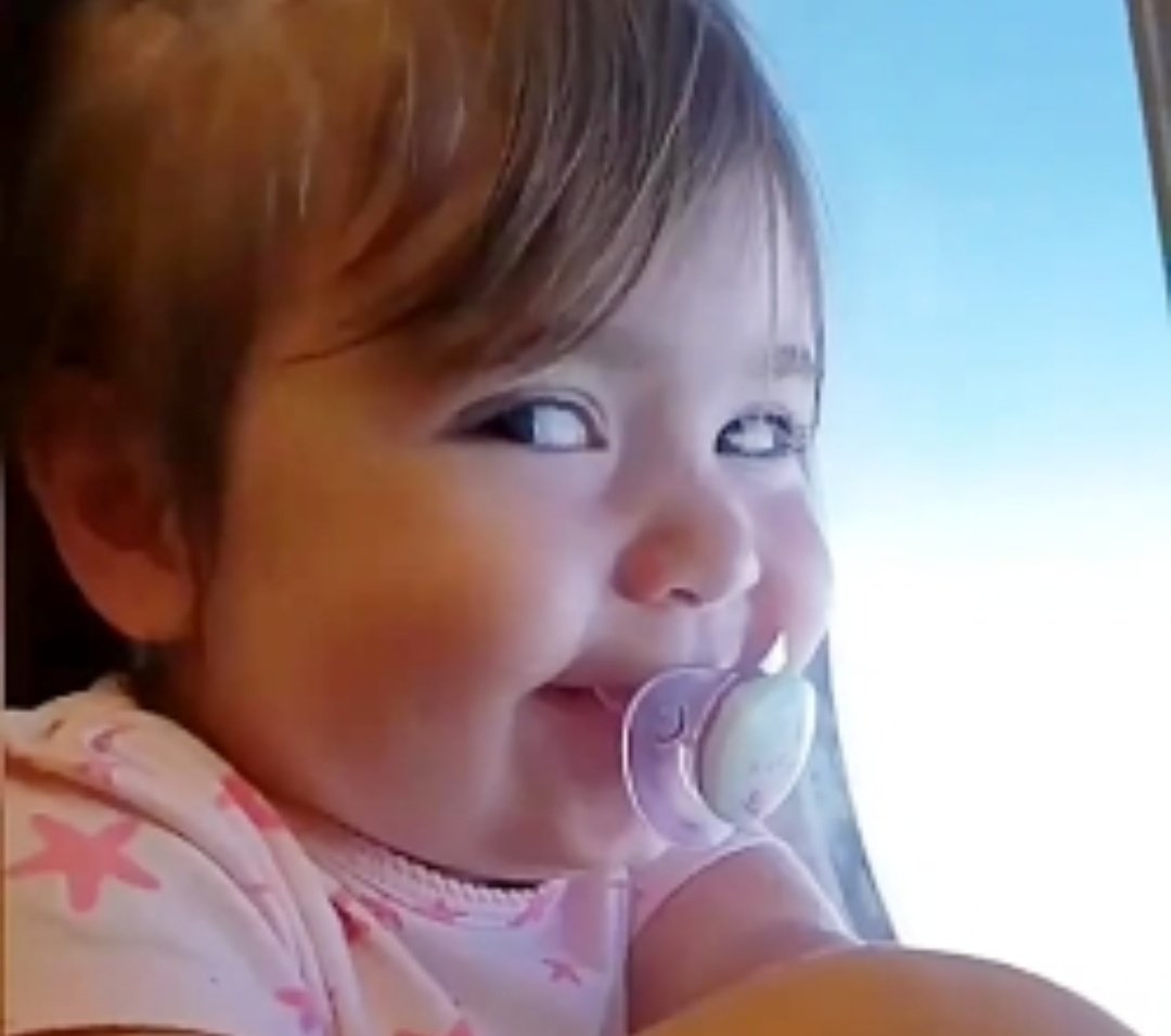 خانُم فیلسوف🦋 tweet media