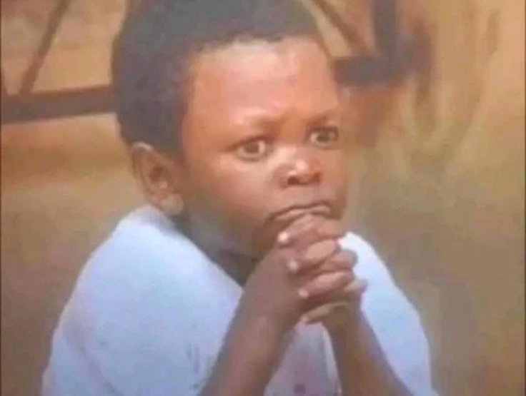 •سـهیلی• tweet media