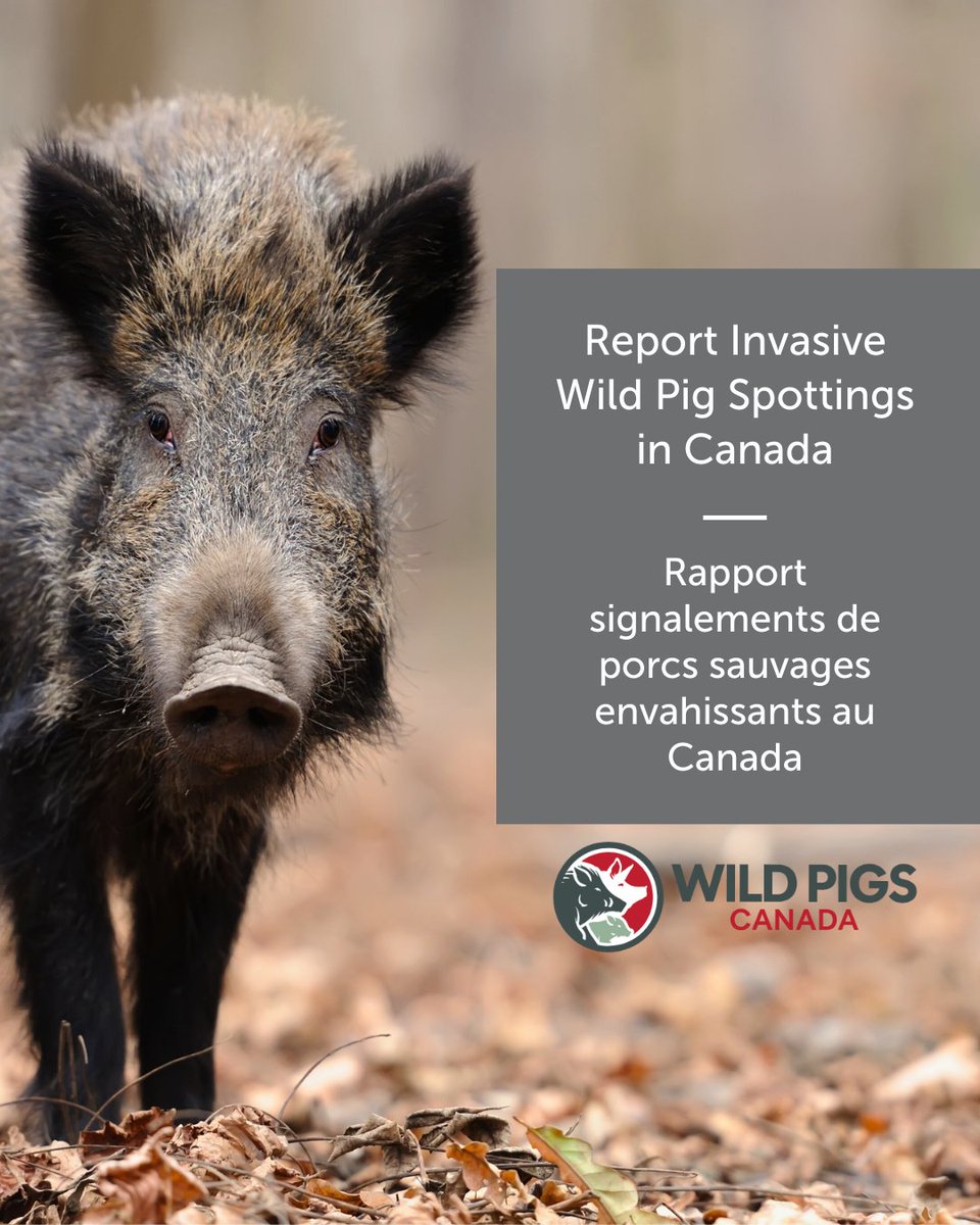 Animal Health Canada | Santé animale Canada tweet media