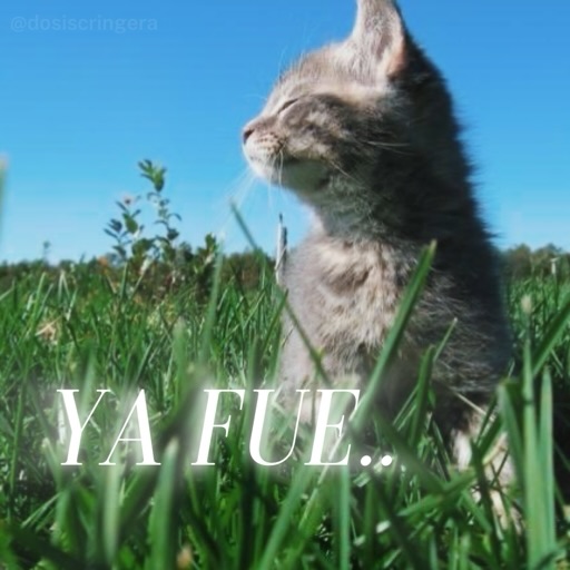 Facuufernn (@thetopguy2017) on Twitter photo 