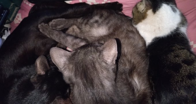 胸が苦しくて目が覚めたの。 