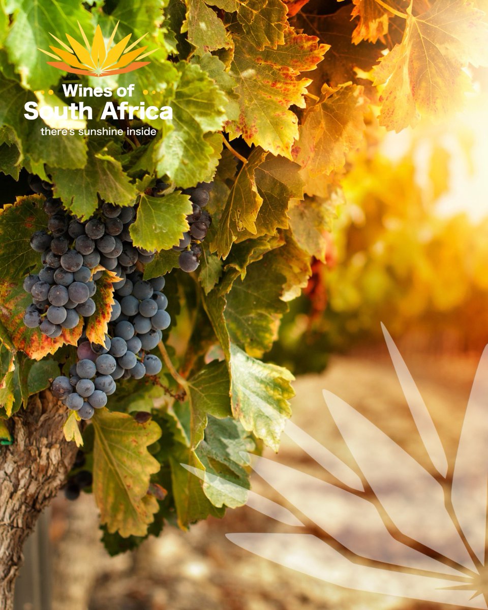 WOSACanada tweet media