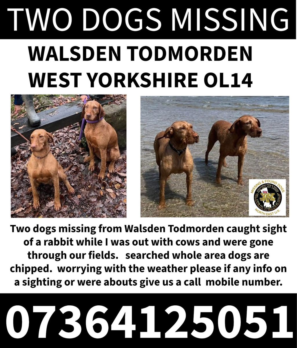 2 DOGS MISSING #WALSDEN #TODMORDEN WEST YORKSHIRE SINCE THURSDAY 26.2.26

PRUDENCE AND SARI 
doglost.co.uk/dog/202250

doglost.co.uk/dog/202249

<a href="/Walsden_EC/">Walsden Equestrian</a> <a href="/WalsdenCC/">WalsdenCC</a> <a href="/HelWittman2/">Hel Wittman</a> <a href="/02031961pat/">pat faulkner</a> <a href="/juliagarland73/">Helping the lost home #TeamWales 🇬🇧</a> <a href="/RachaelB100/">Rachael</a>  <a href="/qu1ncey/">Liz Quinn</a>