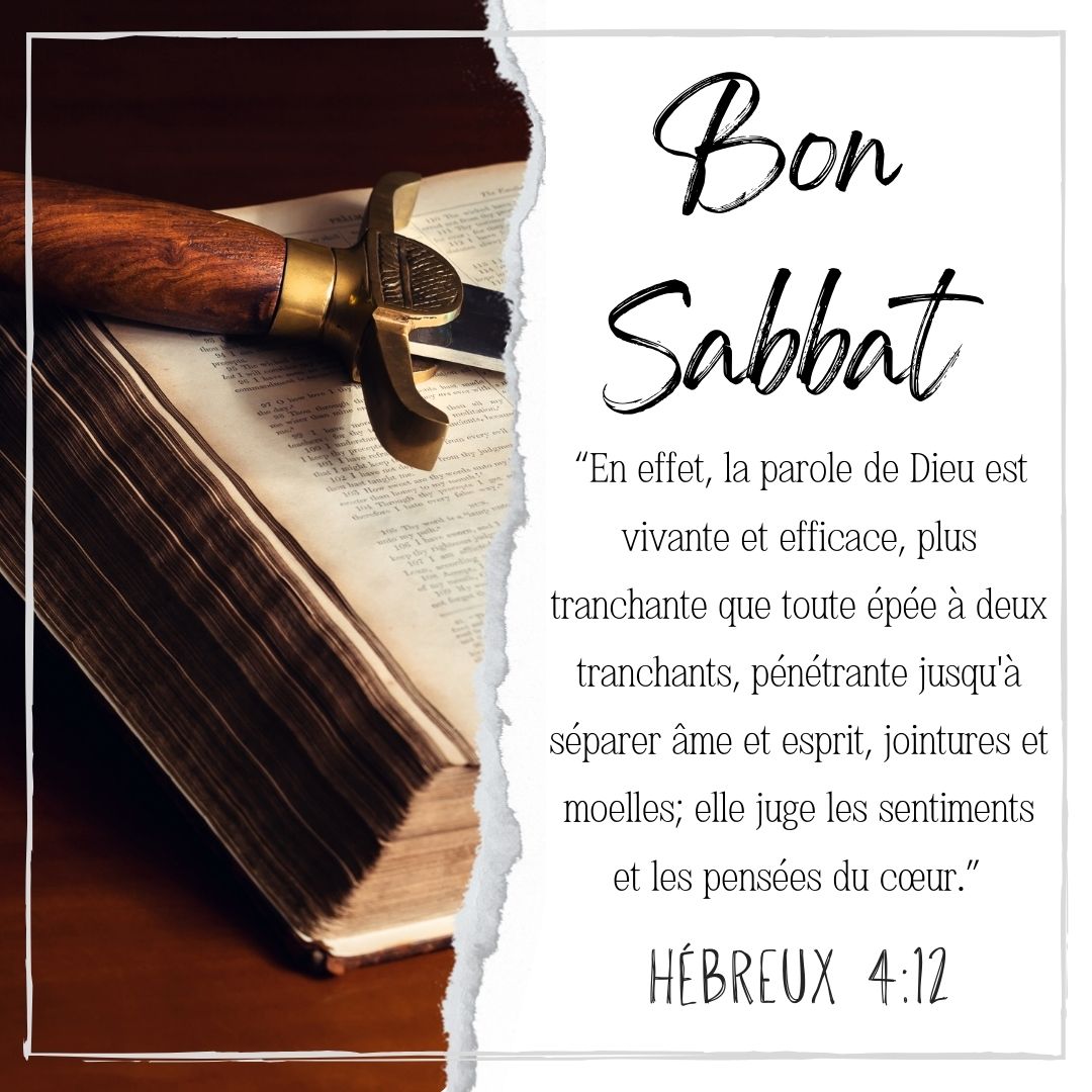 Adventist Messenger tweet media