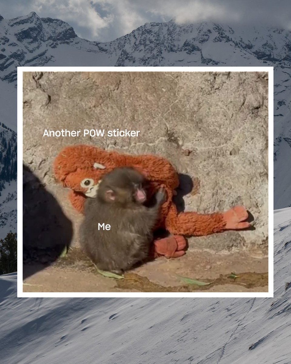 Protect Our Winters tweet media