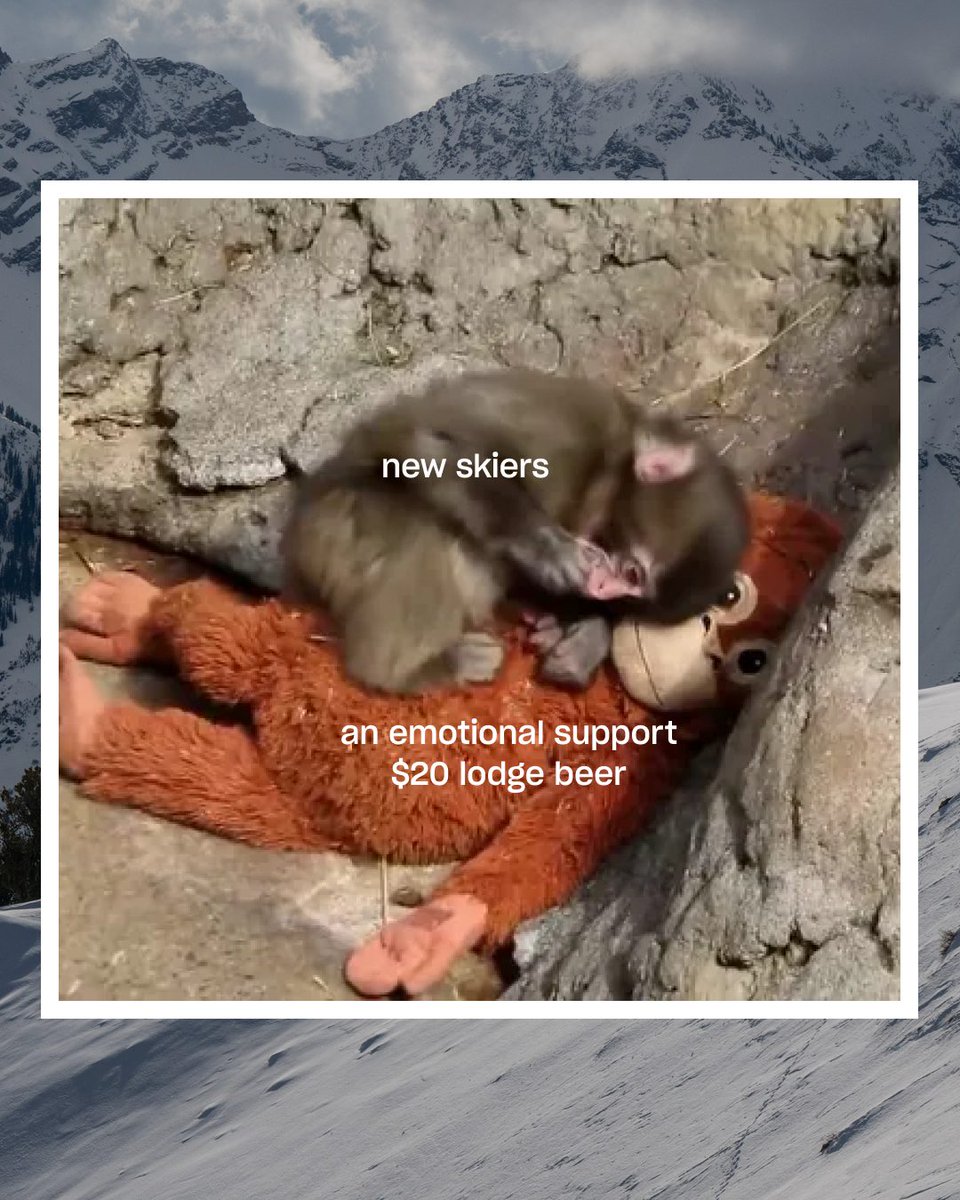 Protect Our Winters tweet media