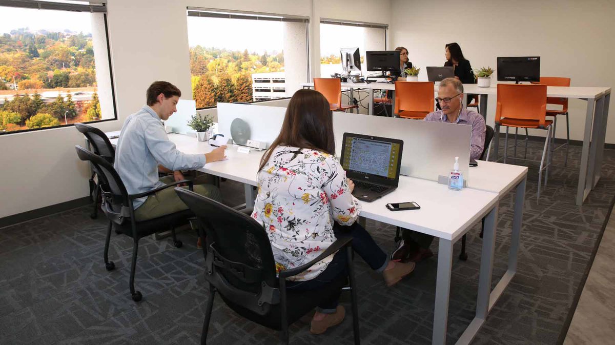 Pacific Workplaces tweet media