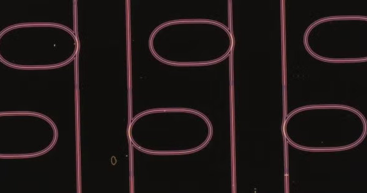 CU Boulder Engineering 🦬 tweet media