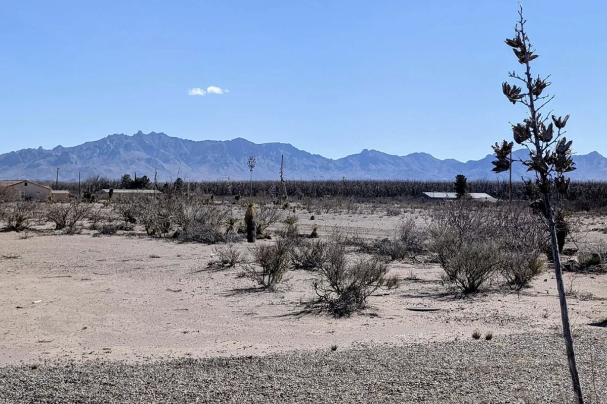 oldhouseunder50's tweet image. $69K. Experience peaceful living in this two-bedroom home set on one #acre with stunning #mountainviews. Located in #NewMexico, the property features a metal roof, stucco exterior, private utilities, and a fenced yard, perfect for pets and gardening. oldhousesunder100k.com/affordable-199…