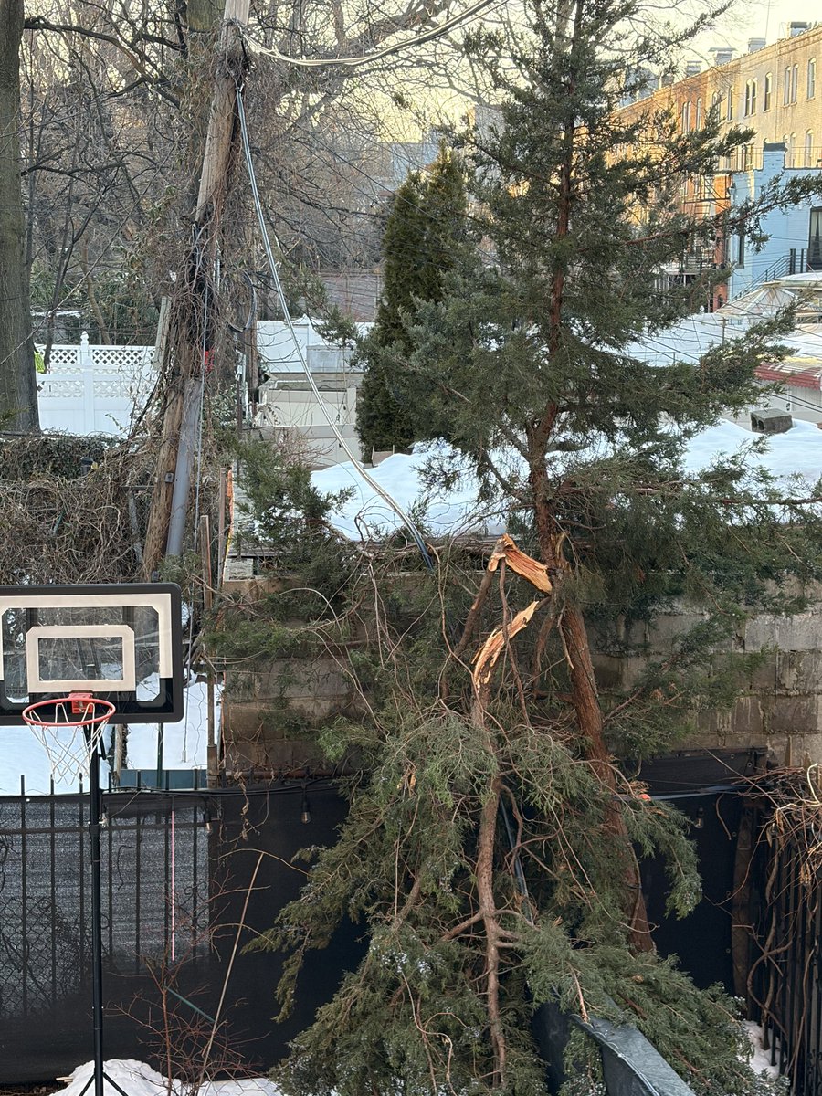 kcaz_r's tweet photo. @ConEdison this massive cable has been lying in my backyard since the storm on Sunday. I have called multiple times, been told that someone will be here in an hour. Still nothing. @NYCMayor I have no idea what it is, but it doesn’t seem safe. https://t.co/RQPbY8E04P