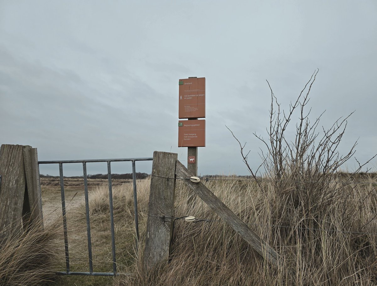 Simon Westerhof tweet media