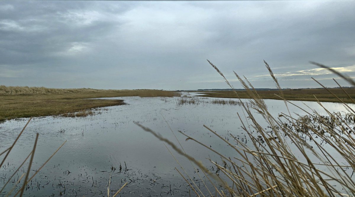 Simon Westerhof tweet media