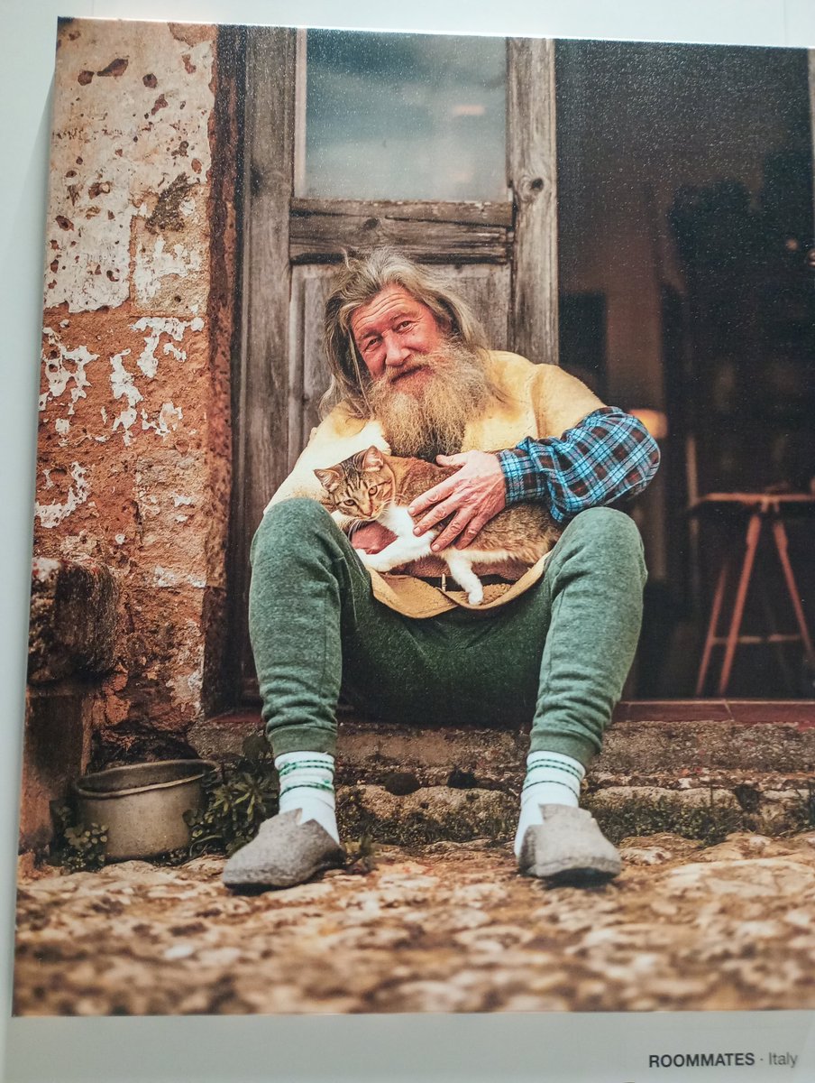 Daniela Citzamaca tweet media