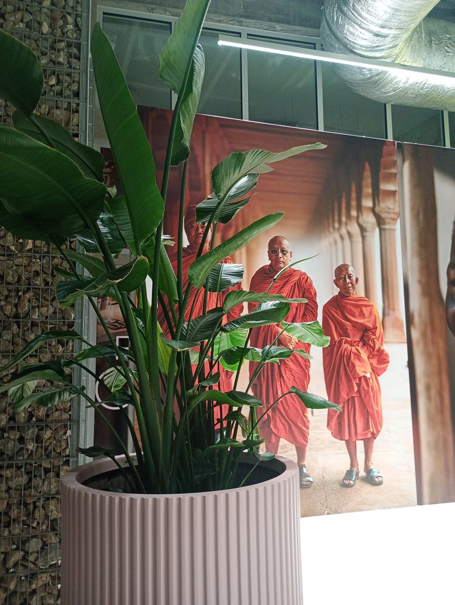 Daniela Citzamaca tweet media