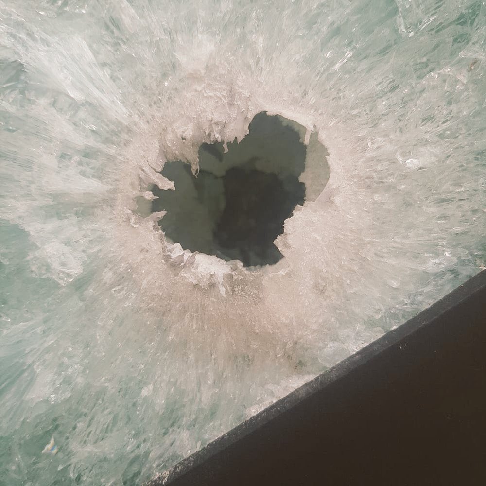 nego trufa tweet media