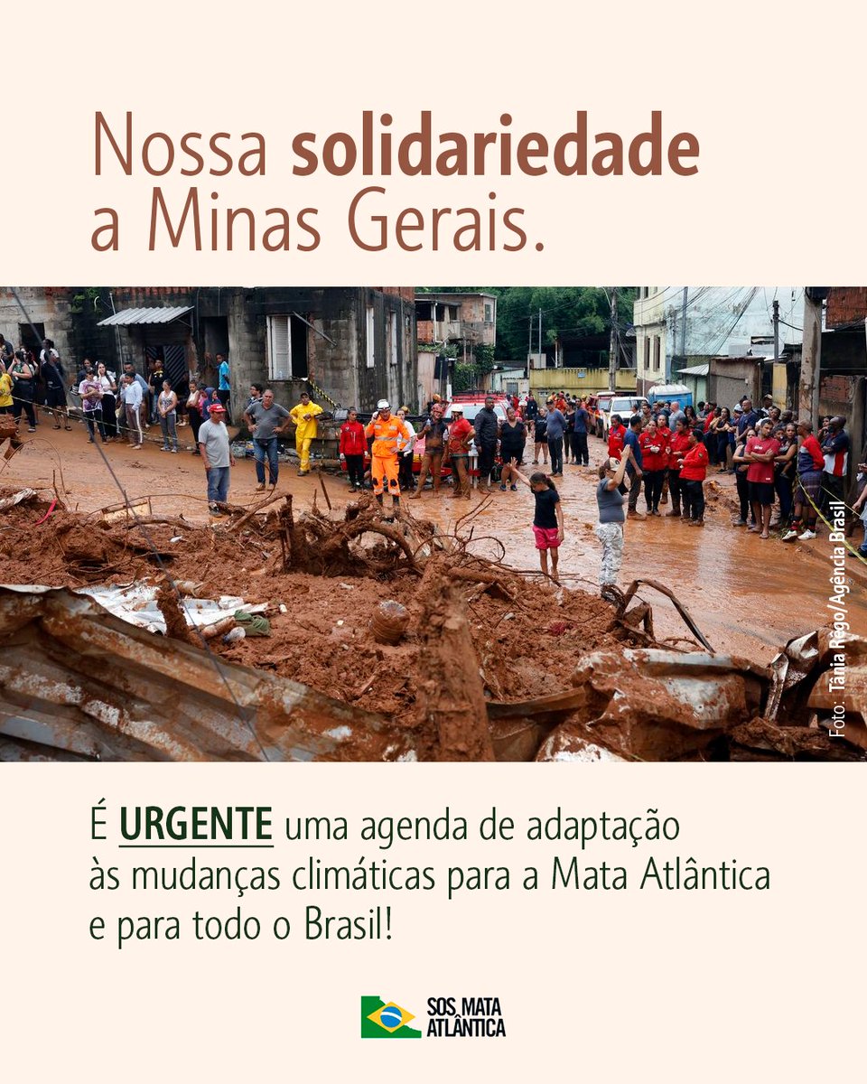 SOS Mata Atlântica tweet media