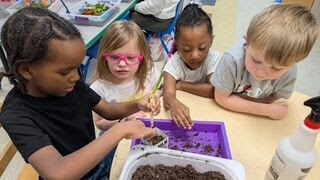 MSD of Warren Township tweet media