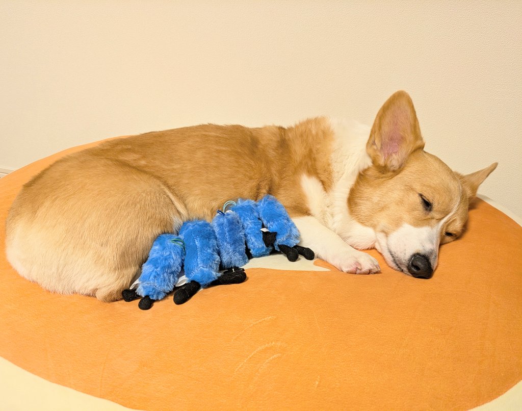 ライチ (@Raiti_01) / Posts / X