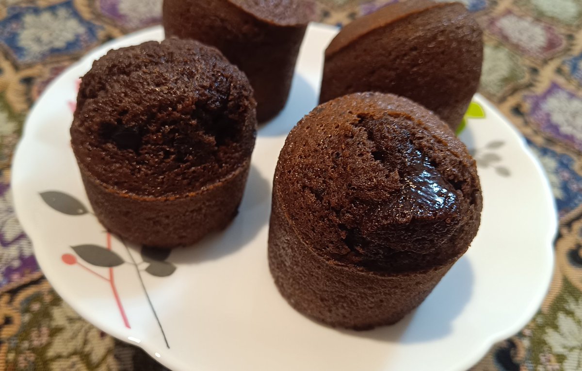 فاطمه محبی tweet media