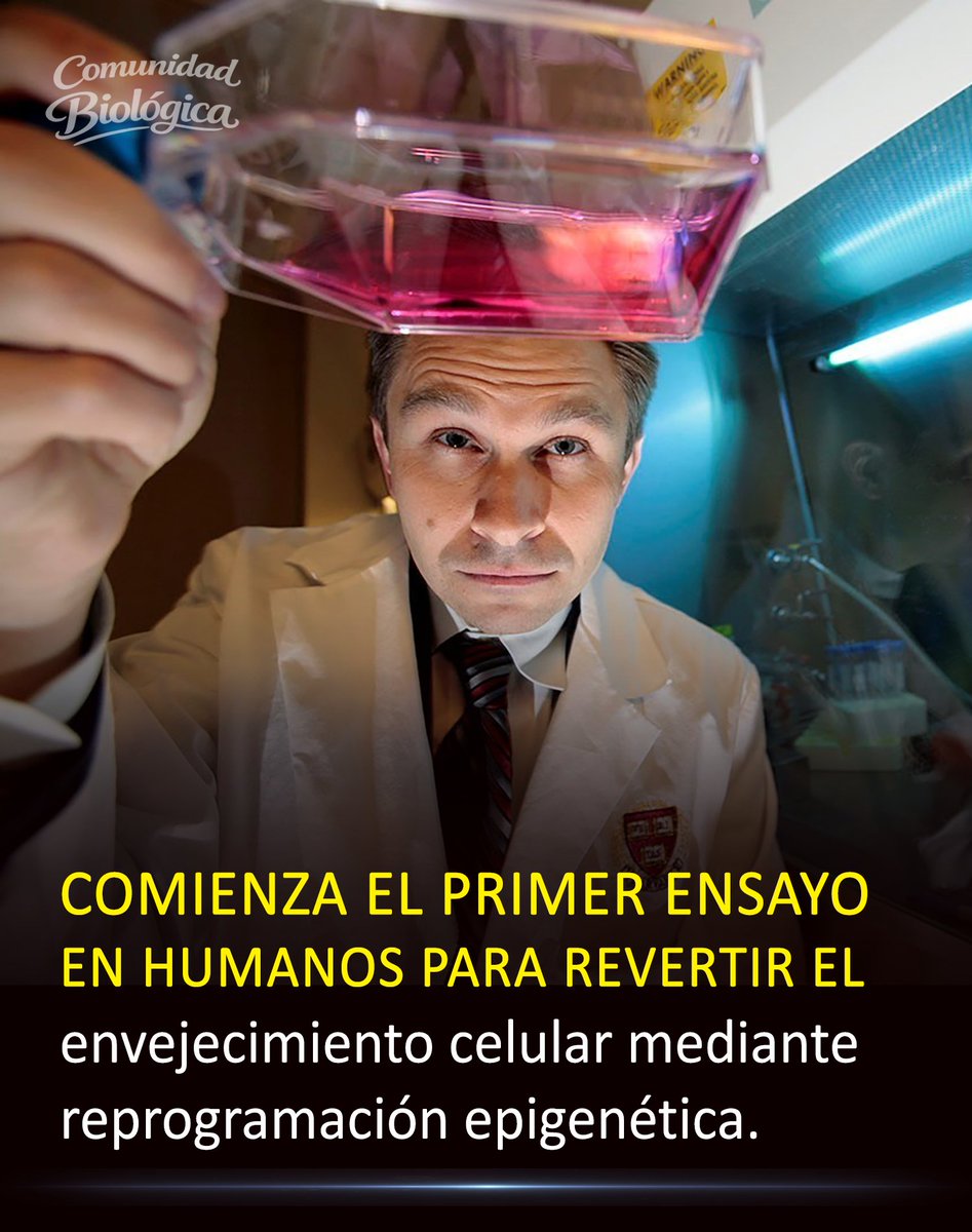 Lo que durante años consideramos imposible acaba de recibir luz verde oficial para probarse en humanos.

Este revolucionario tratamiento experimental se llama ER-100 y fue desarrollado por el equipo del genetista David Sinclair.

La técnica utiliza tres genes específicos para