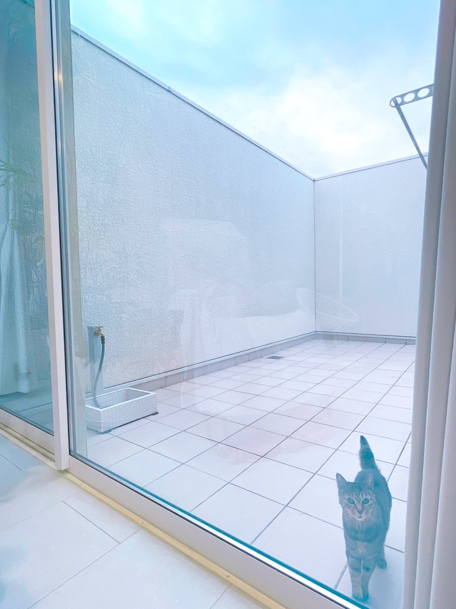 今朝、カーテンを開けたら・・ 👴🏻の金魚鉢が無くなってる