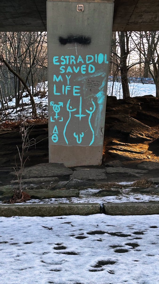 kit θ∆ 🦇🖤✨ tweet media