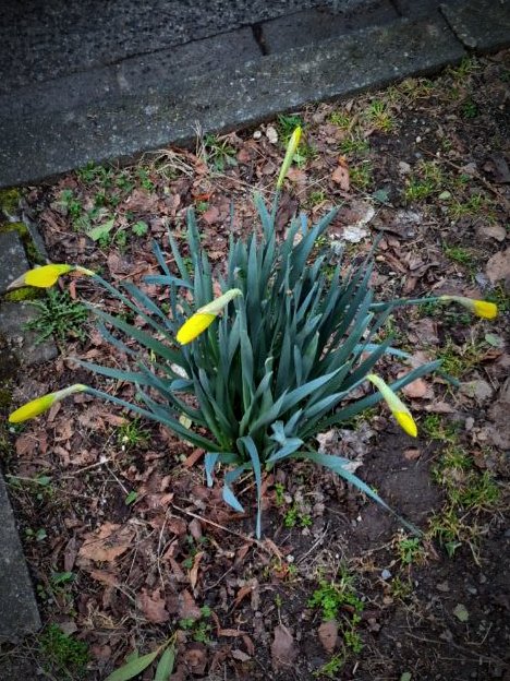 Раєн tweet media