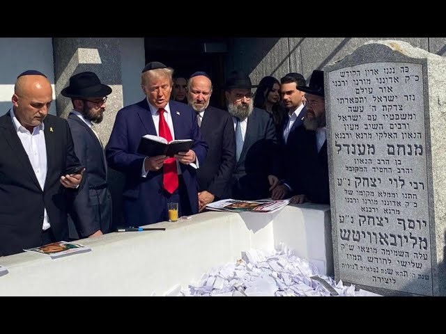 Imponderable tweet media