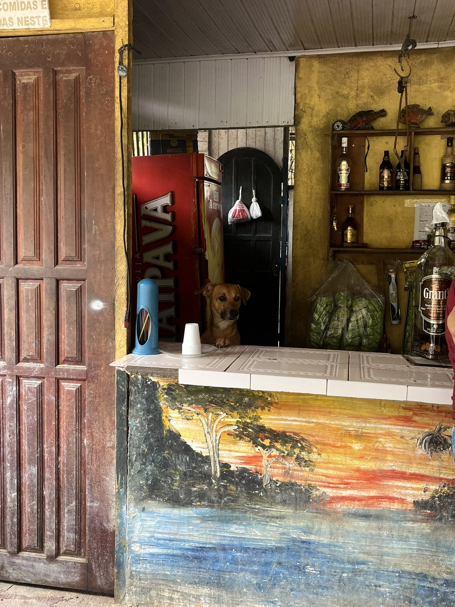 luazinhahx's tweet photo. Atendente tava nervoso era o primeiro dia dele https://t.co/ko1PoVFSbZ