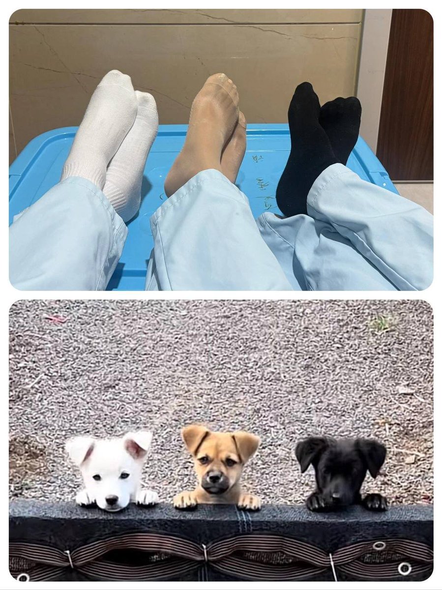 午休，巧合，可爱～

猜猜哪个是我，私信猜，猜对有奖～