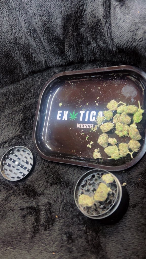 Exotica Eva tweet media