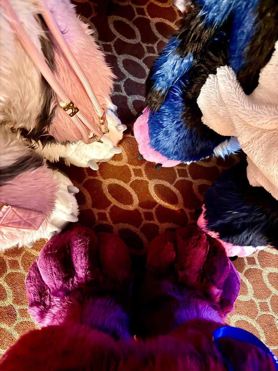 Gwuh🔜TFF tweet media