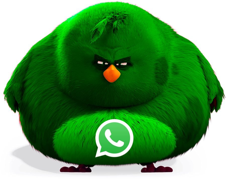 r/AngryBirds tweet media