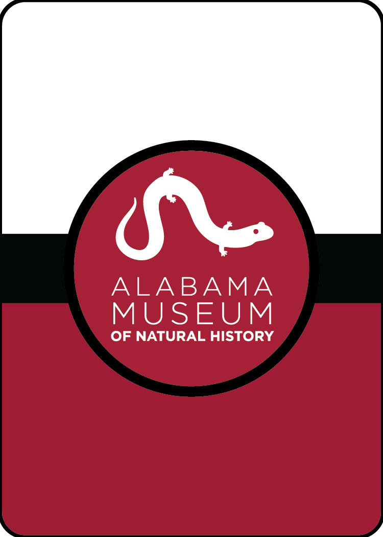 Alabama Museum of Natural History tweet media