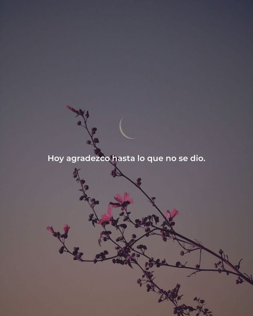 frases sad (@retumbera) on Twitter photo 