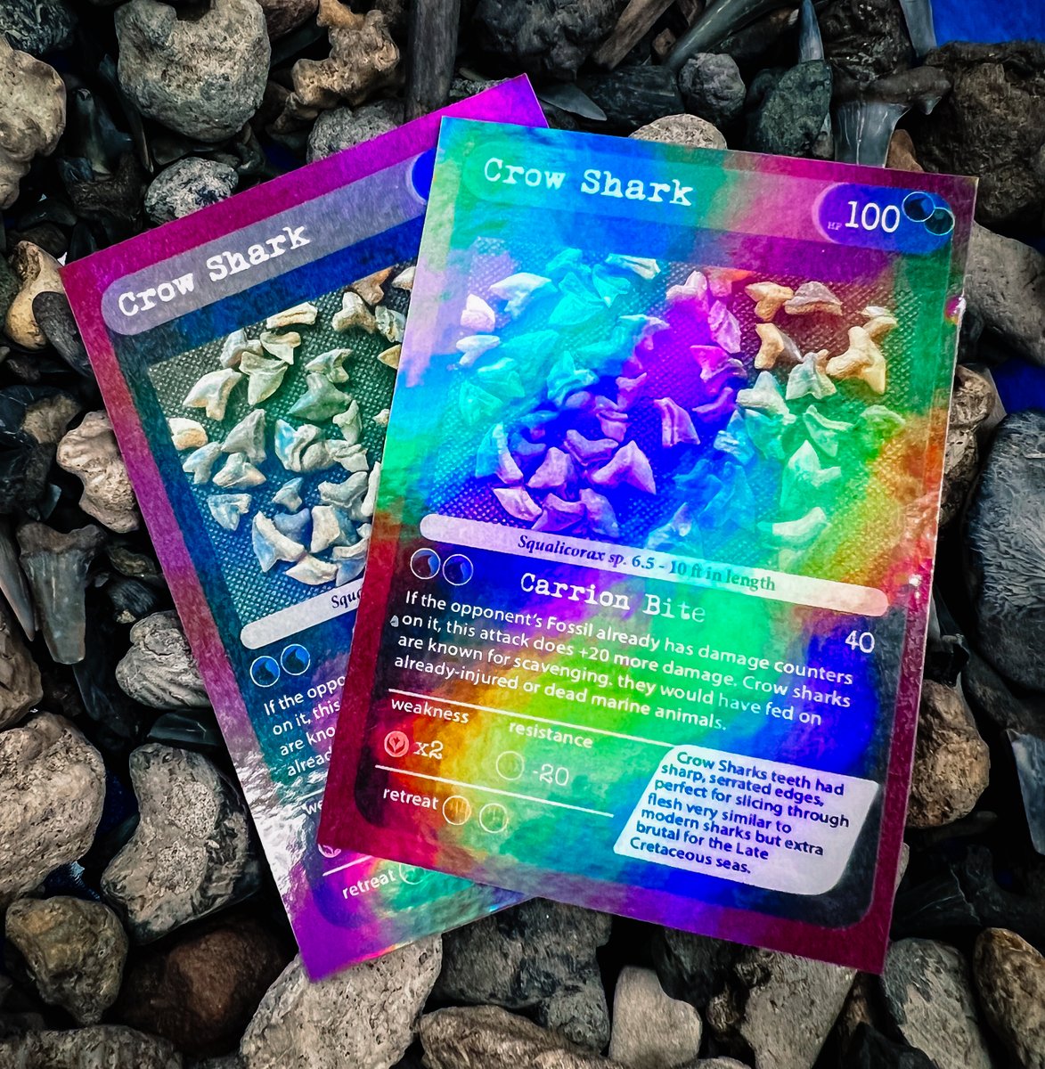 Alabama Museum of Natural History tweet media