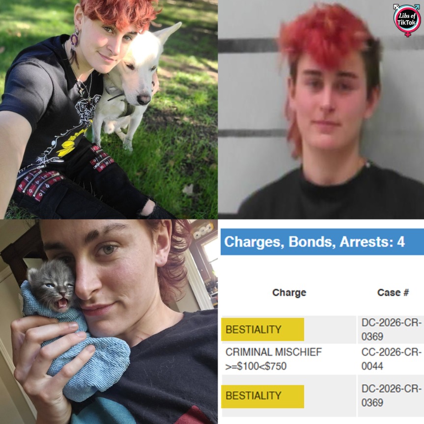 Libs of TikTok tweet media