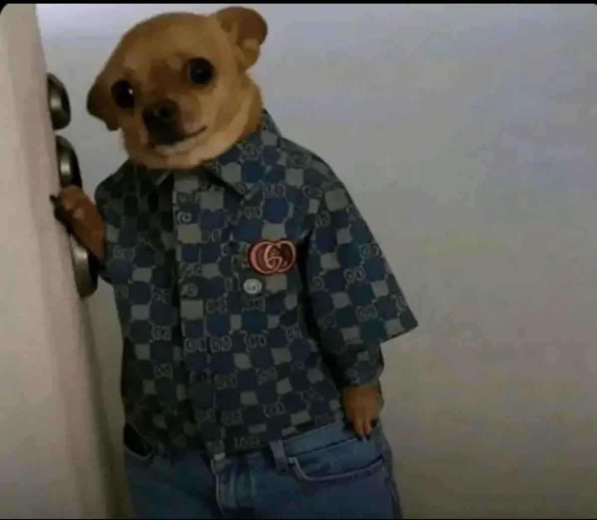 My mummy said you should follow me