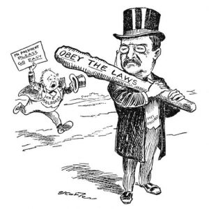 "We can not tolerate anything approaching a monopoly, especially in the necessaries of life, except on terms of such thoroughgoing governmental control as will absolutely safe guard every right of the public."

— Theodore Roosevelt

Over a century ago, Teddy Roosevelt understood