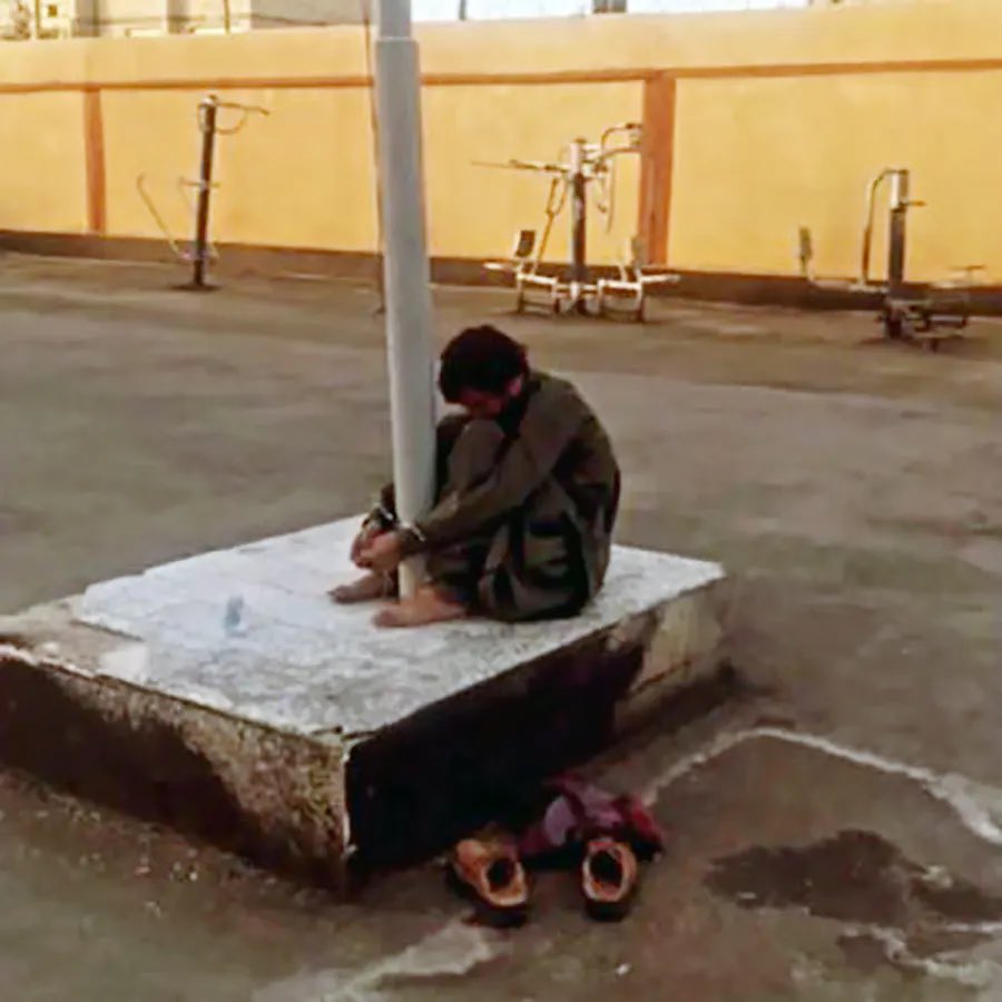 lalinبلوچ tweet media