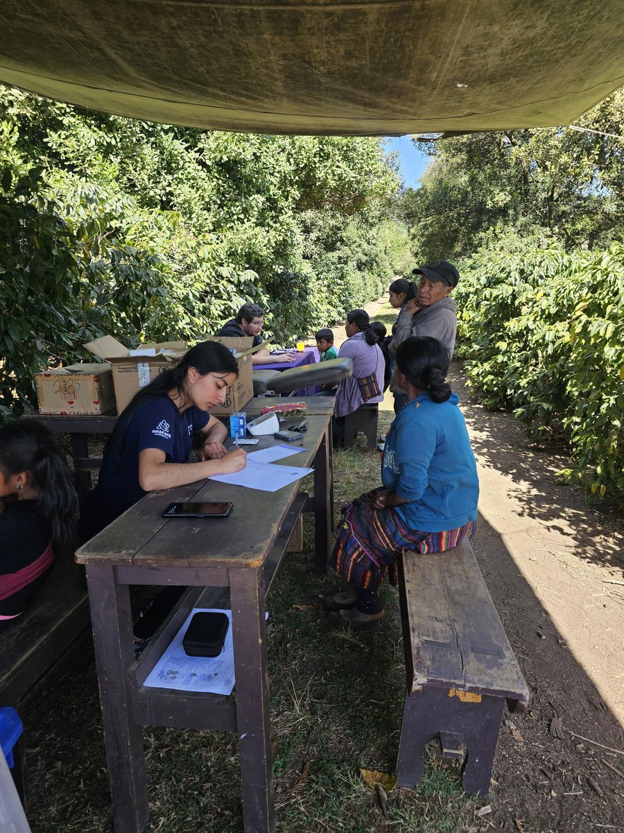 FuncafeGuatemala tweet media