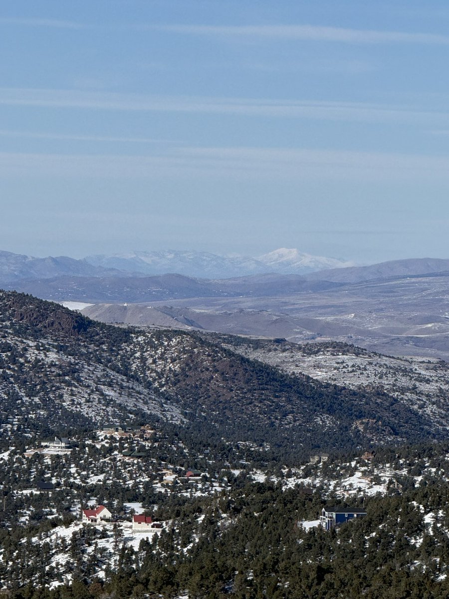 Bronze Goat tweet media