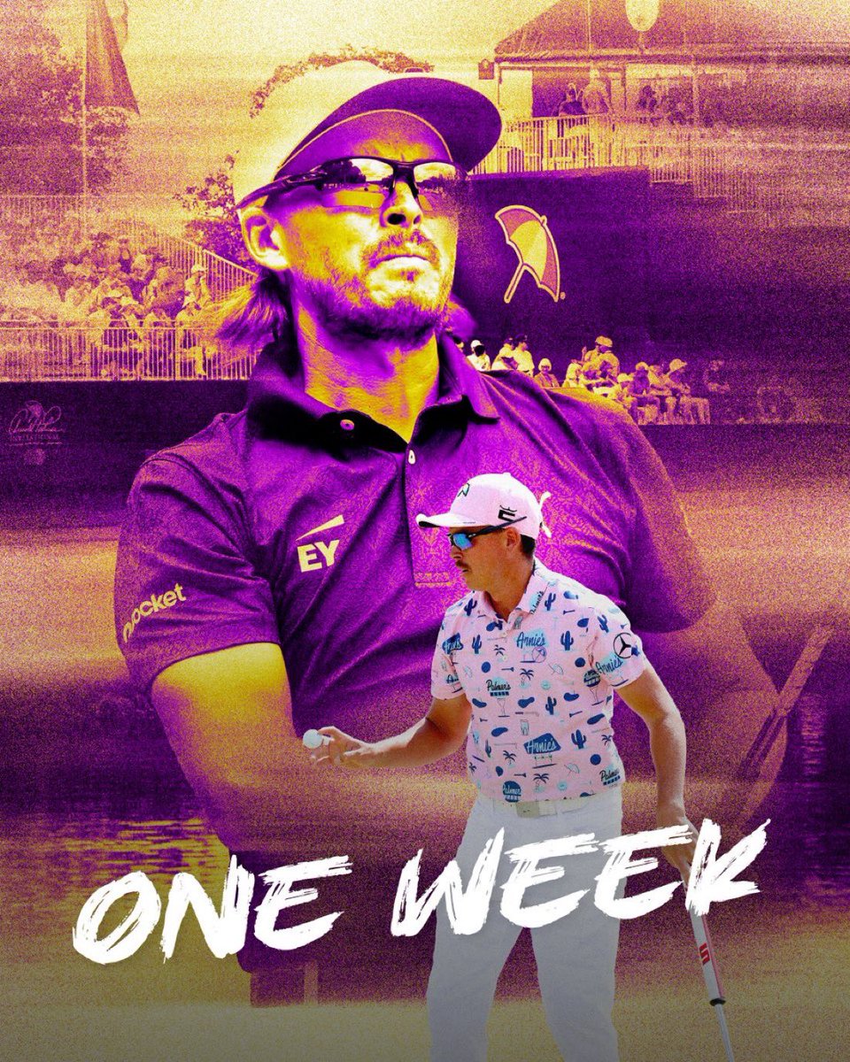 🚨 Back in action next week! ⛱️