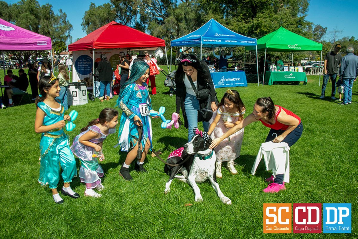 Capistrano Dispatch tweet media