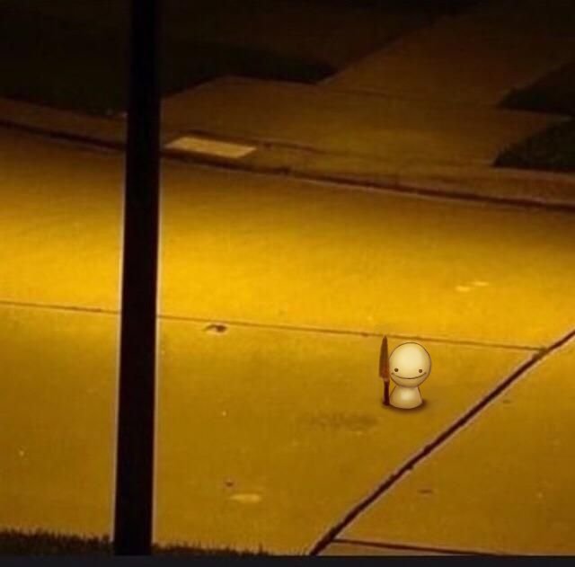 kimkamsilove tweet media