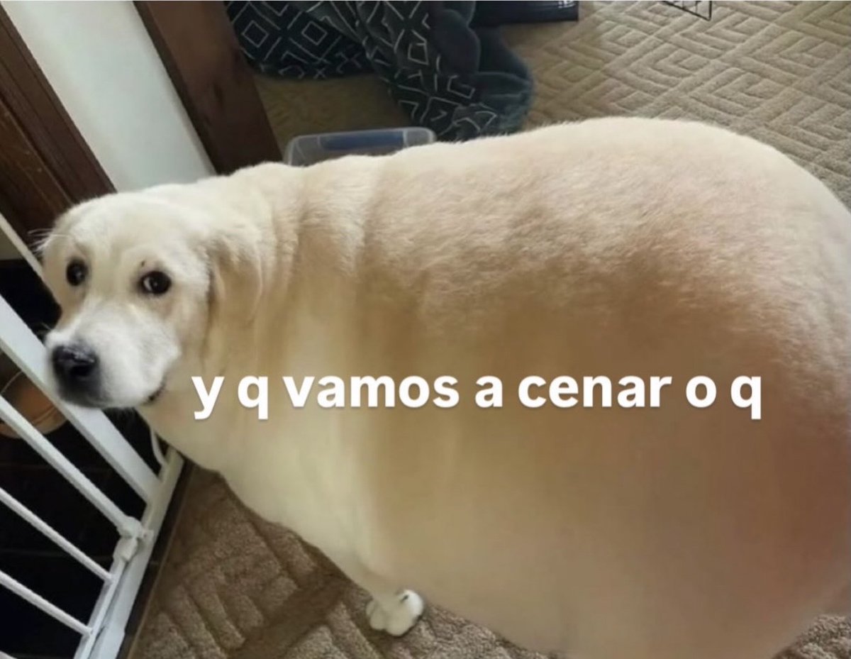 El Guarromántico tweet media