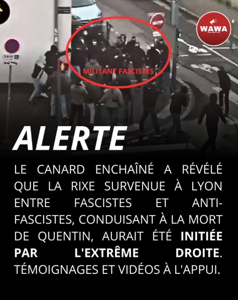 fari1722 tweet media