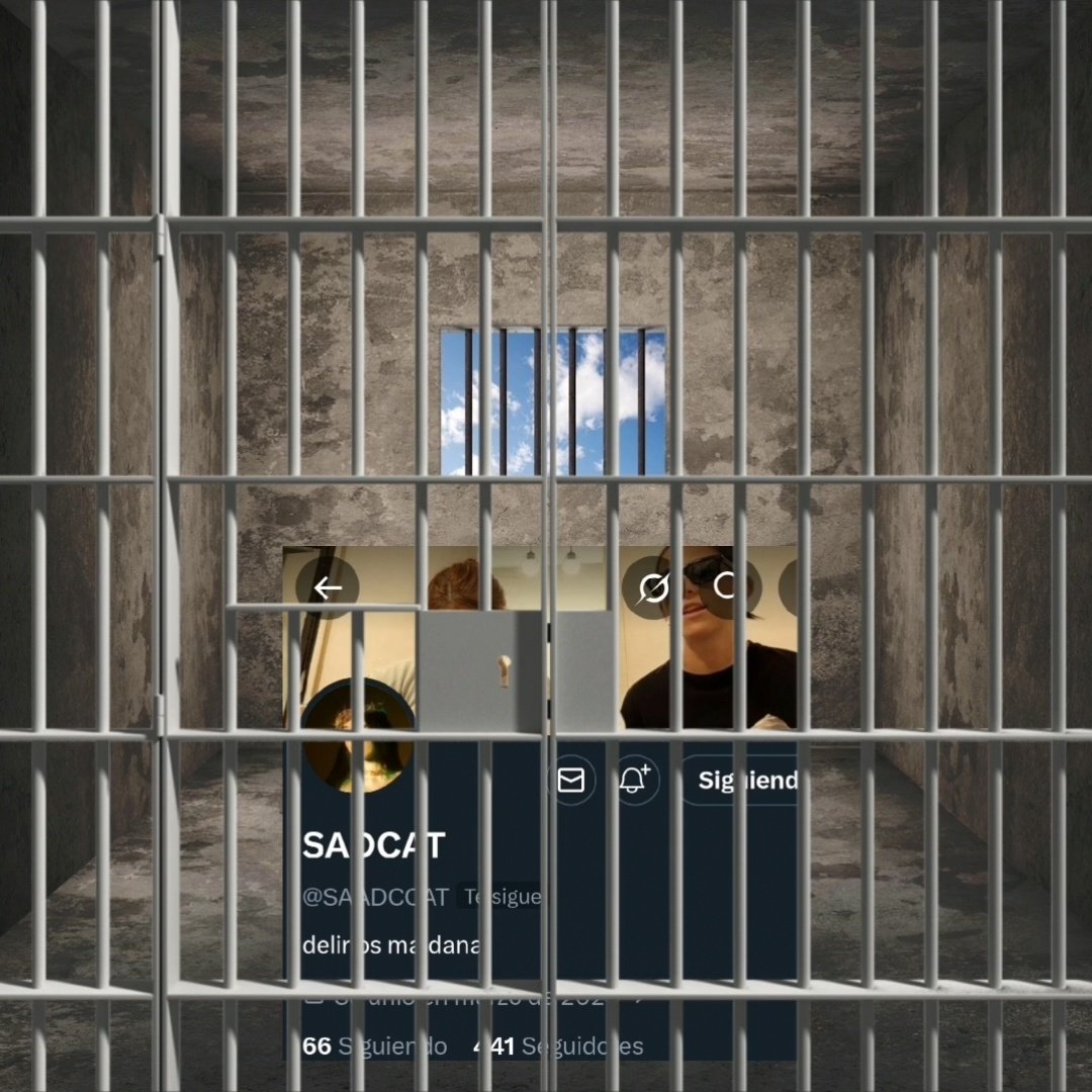 holi_quehace's tweet photo. @SAADCCAT #FreeGato 😿 https://t.co/YURm5R1sjq
