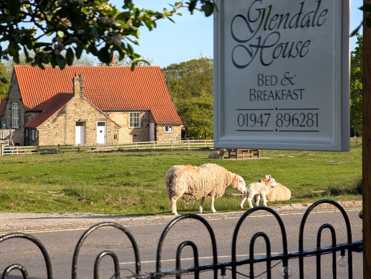 GlendaleHouse's tweet image. Bed and breakfast in the centre of the village of Goathland from £105 pppn. Check availability and book direct online glendalehouse.co.uk  #wheretostay #BedAndBreakfast #countryhouse #goathland #northyorkshire